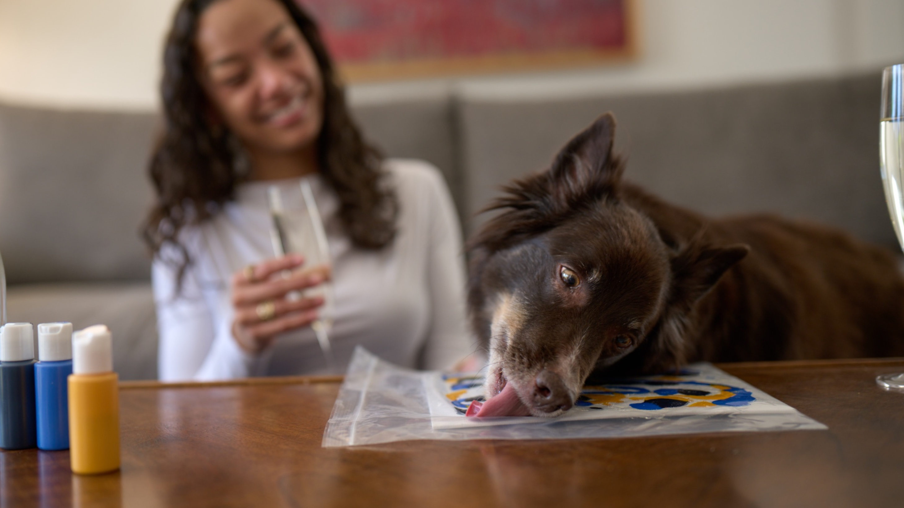 Why Your Dog Loves “New” Things