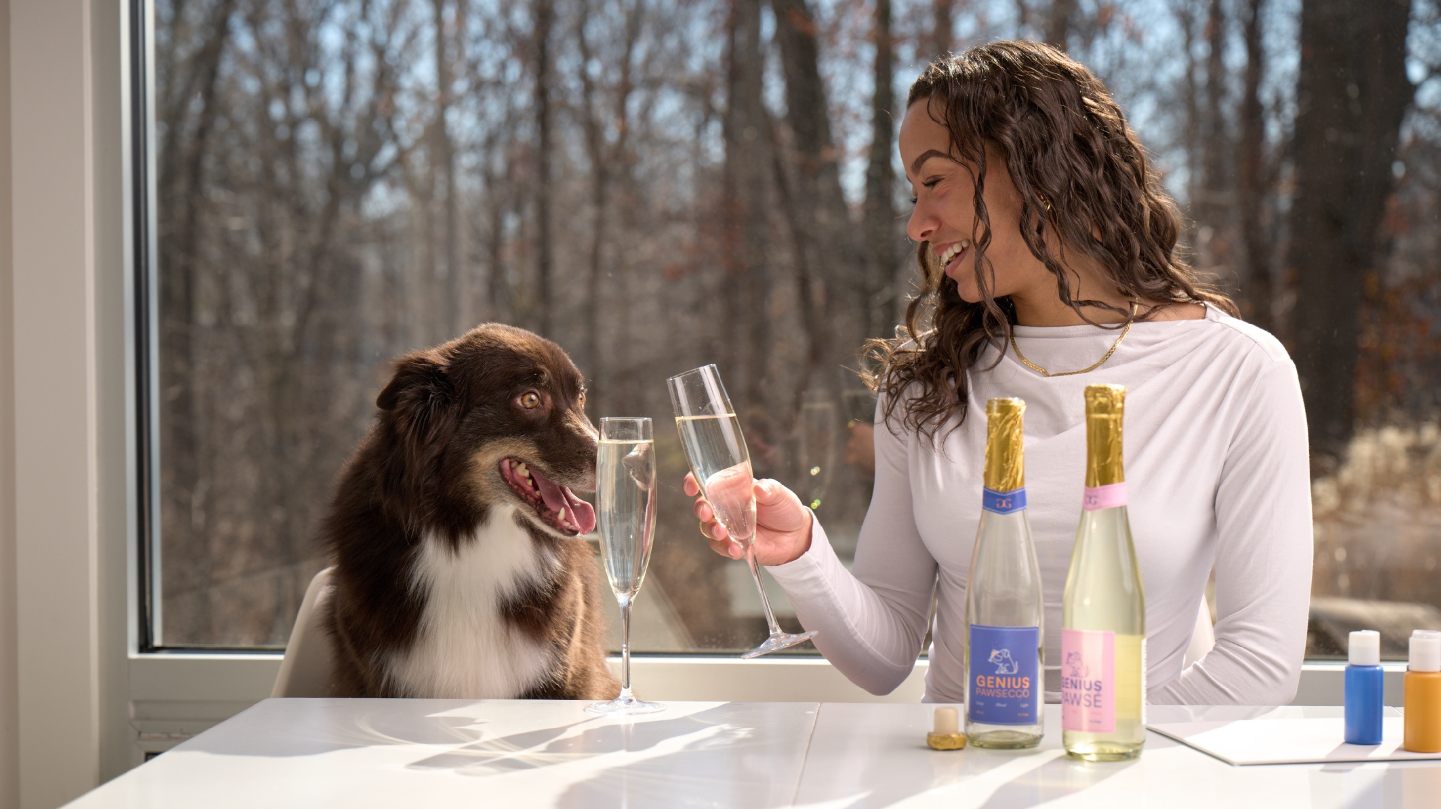 What Is Pawse? A Dog-Friendly Way to Celebrate