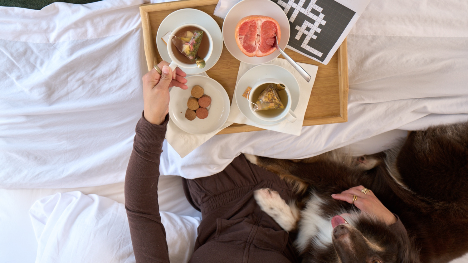 Why Calm, Shared Moments Matter for Dogs