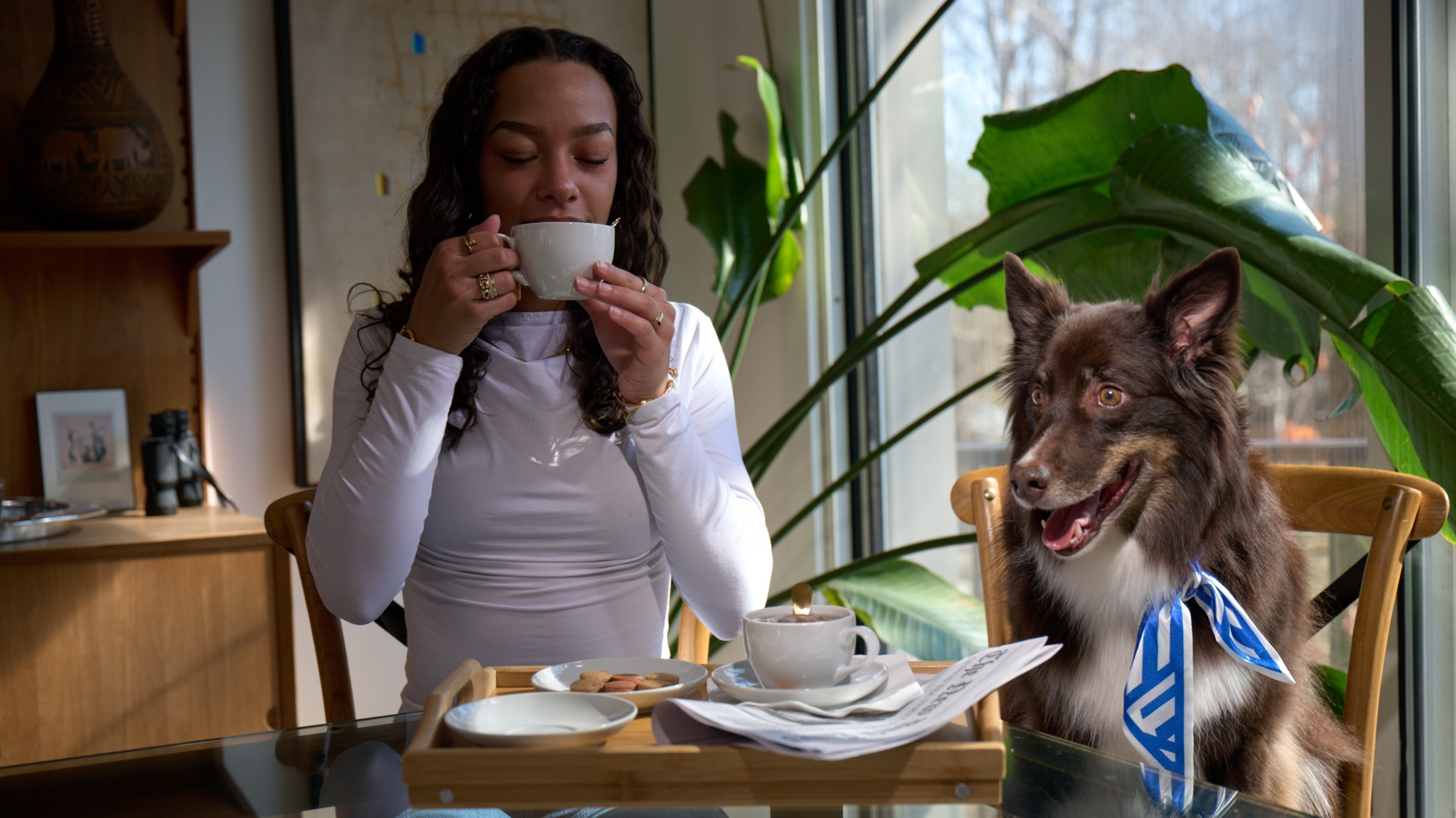 How to Host a Tea Party With Your Dog