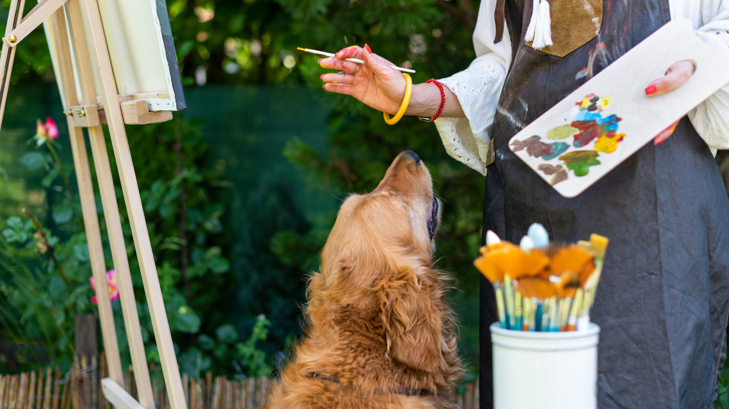 Do Dogs Enjoy Art?
