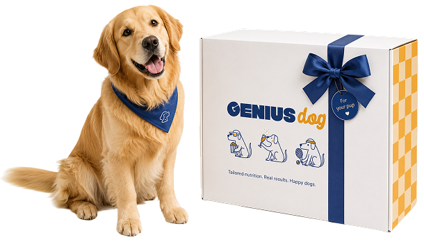 Gift a Subscription