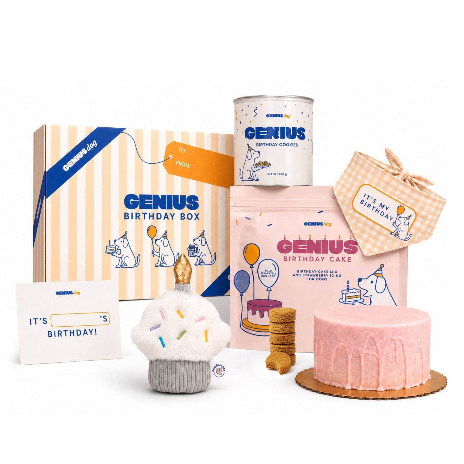 Birthday Party Gift Box
