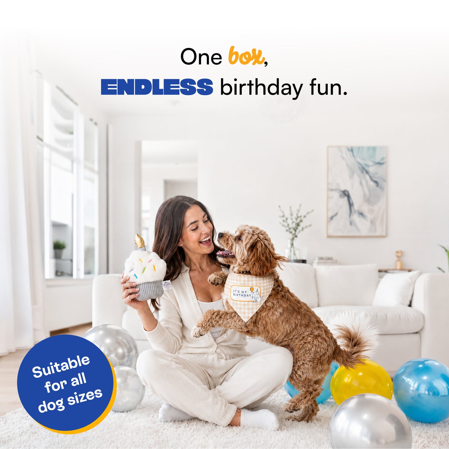 Birthday Party Gift Box
