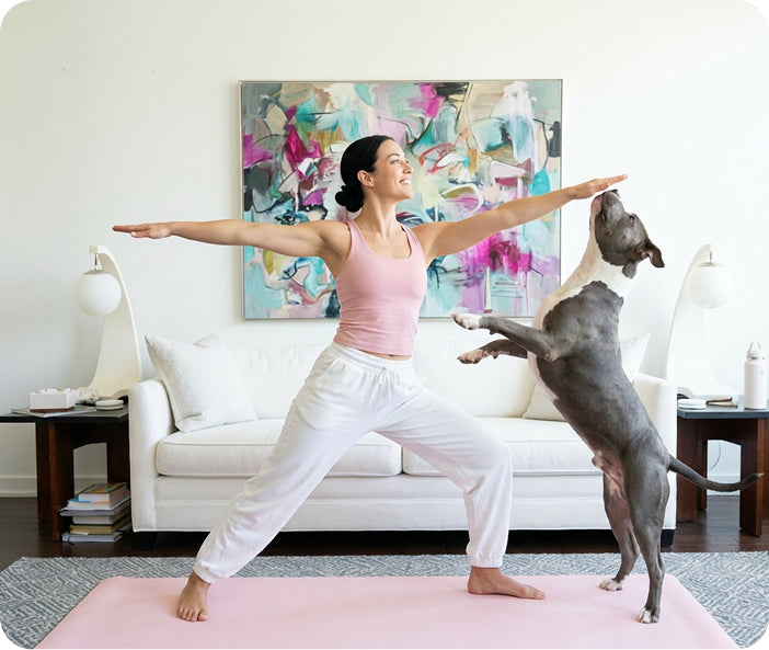 Genius Dog | Enrichment Boxes for Dogs & Their Humans