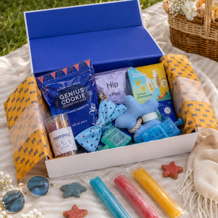 Summer Picnic