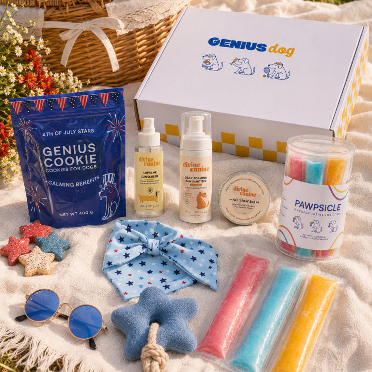 Summer Picnic