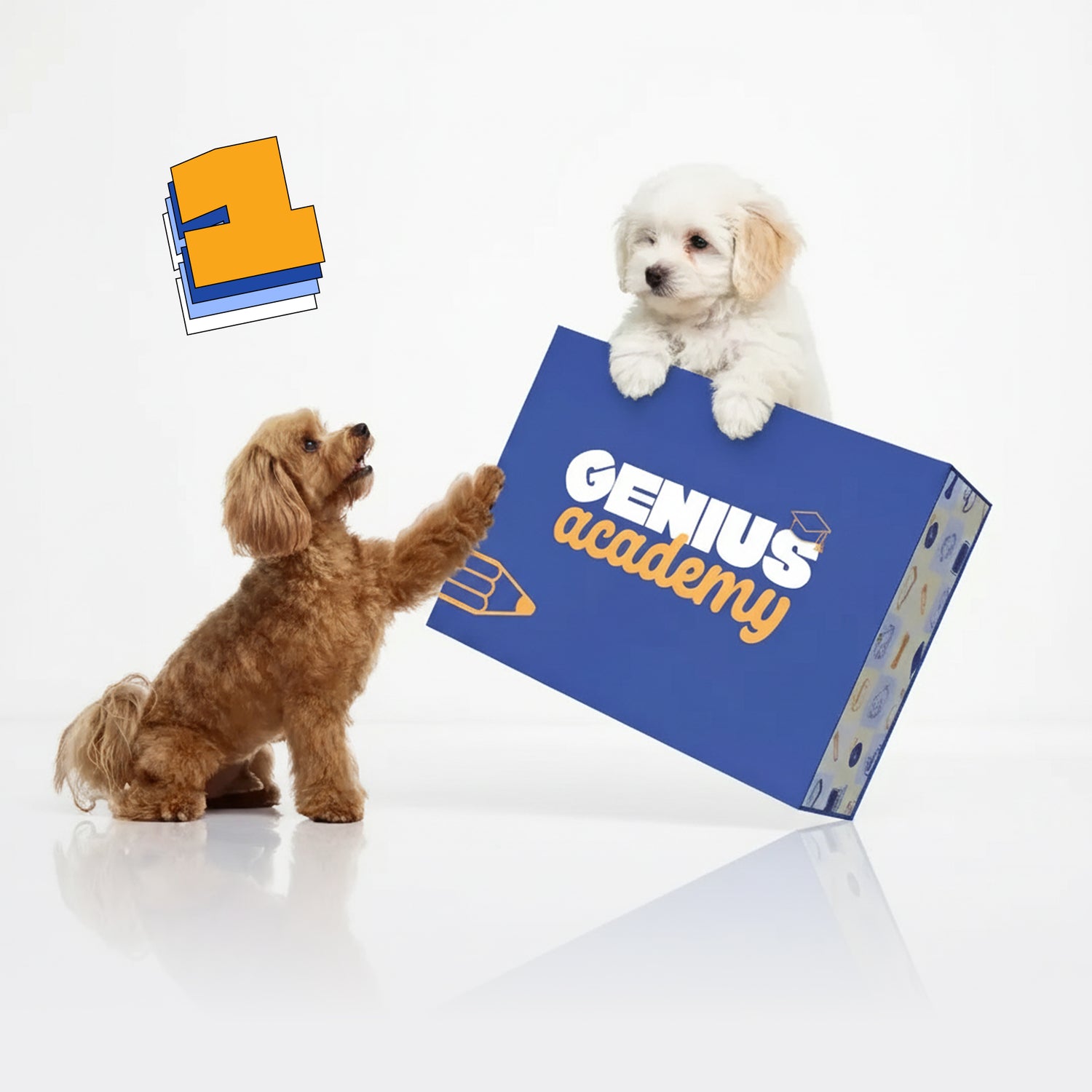 Standard Subscription (Preorder)