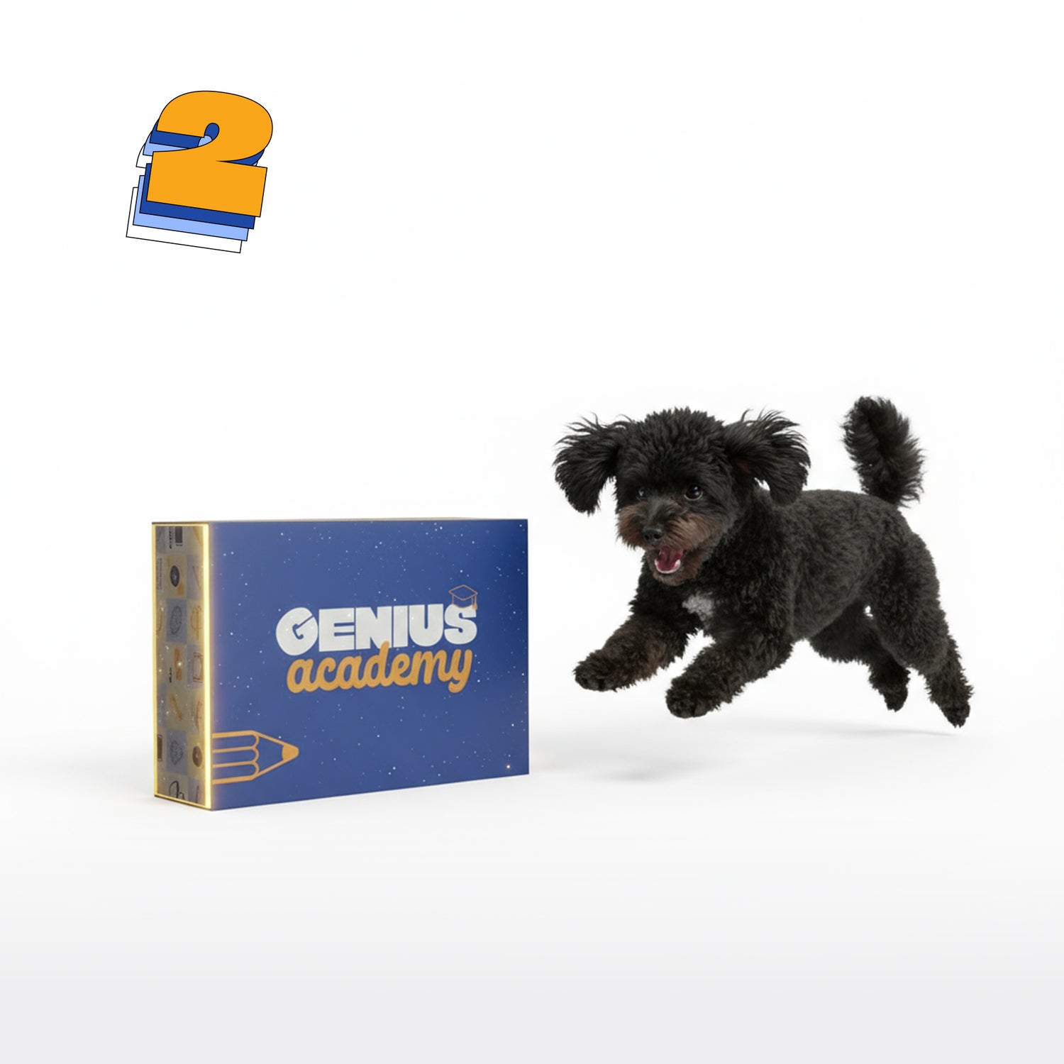 Premium Subscription (Preorder)